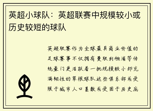 英超小球队：英超联赛中规模较小或历史较短的球队