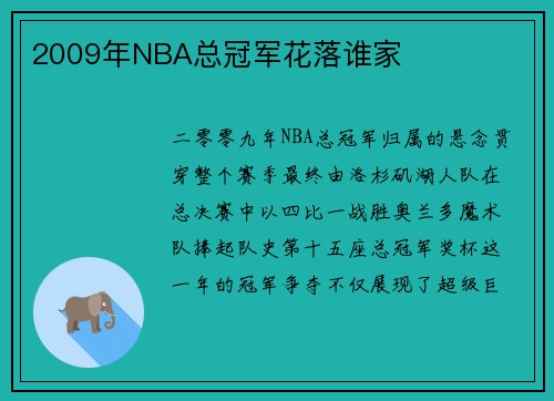 2009年NBA总冠军花落谁家