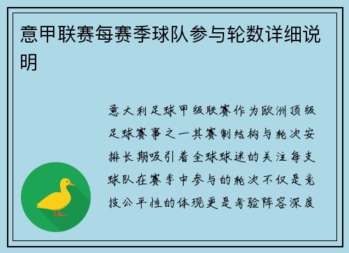 意甲联赛每赛季球队参与轮数详细说明